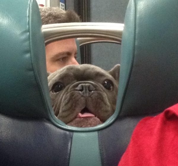 Tôi thấy khuôn mặt thân thiện này trên tàu