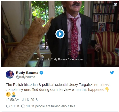 Phóng viên Rudy Bouma đã đăng đoạn video về hành động tinh nghịch của chú mèo lên tài khoản Twitter 