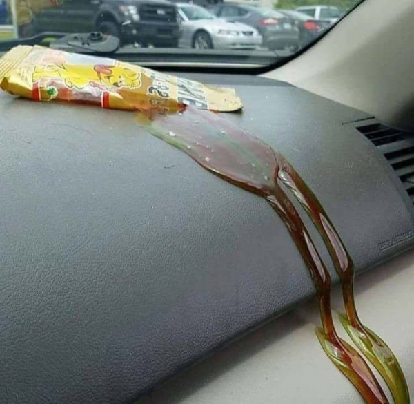   Nhỡ quên đồ ăn trên xe  