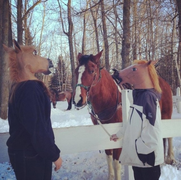   Một cô gái và bạn của mình quyết định cải trang thành con ngựa và xem phản ứng của chúng. Và họ cảm thấy mình thật ngu ngốc khi con ngựa nhìn họ thế này.  