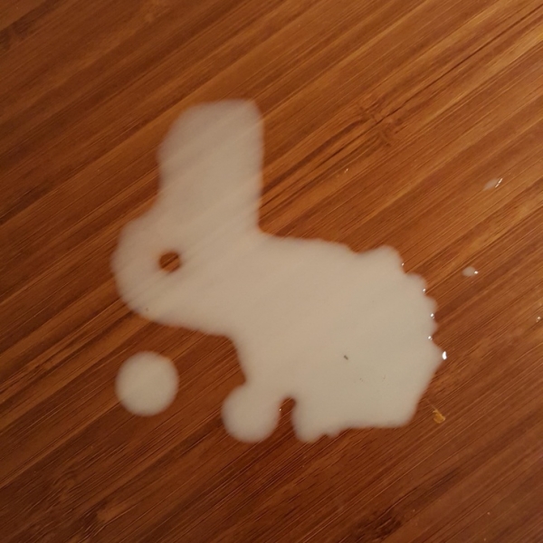 Sữa đổ biến thành con thỏ