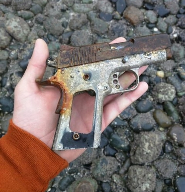   Ai đó đã quên khẩu súng lục của họ ở Discovery Park, Seattle  
