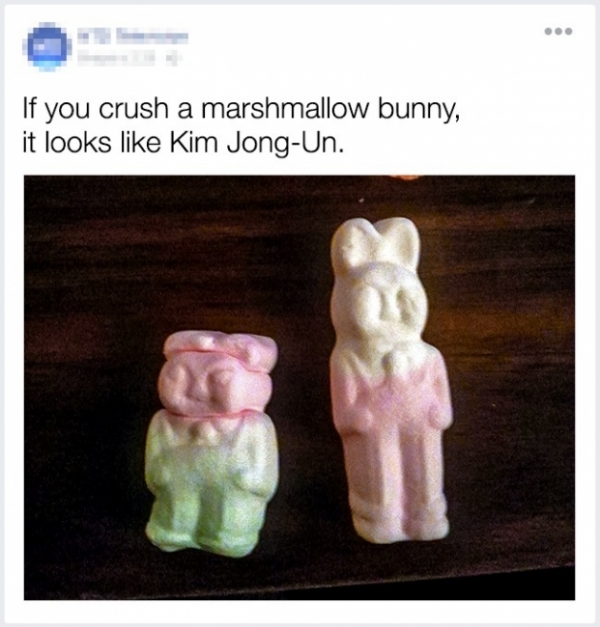   Nếu bạn nghiền một chú thỏ dẻo, nó nhìn sẽ giống Kim Jong-Un  