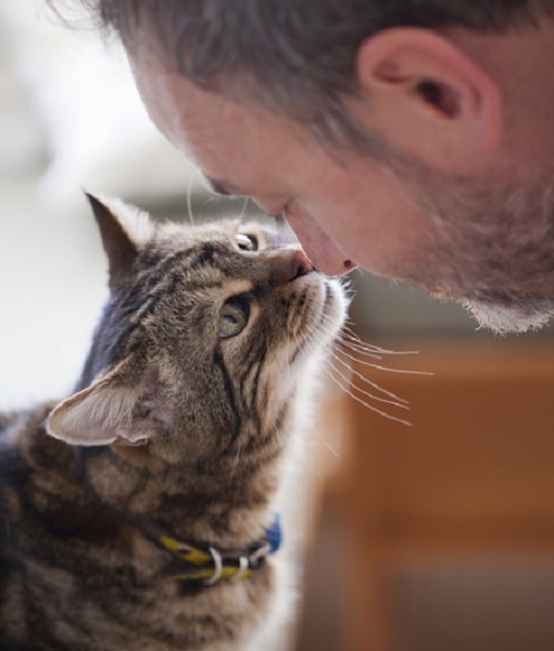 14 sự thật bất ngờ về tâm lý loài mèo khiến Sen vừa ngạc nhiên vừa yêu mến chúng nhiều hơn 1