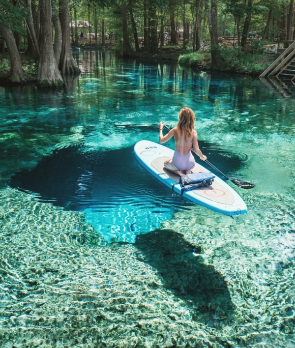 Nước ở Ginnie Springs, Florida trông sạch hơn hầu hết các hồ bơi nhân tạo