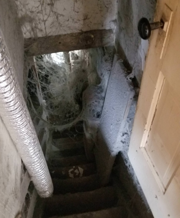 Tầng hầm của ngôi nhà bị bỏ hoang đã lâu, ai dám chắc dưới đó có gì