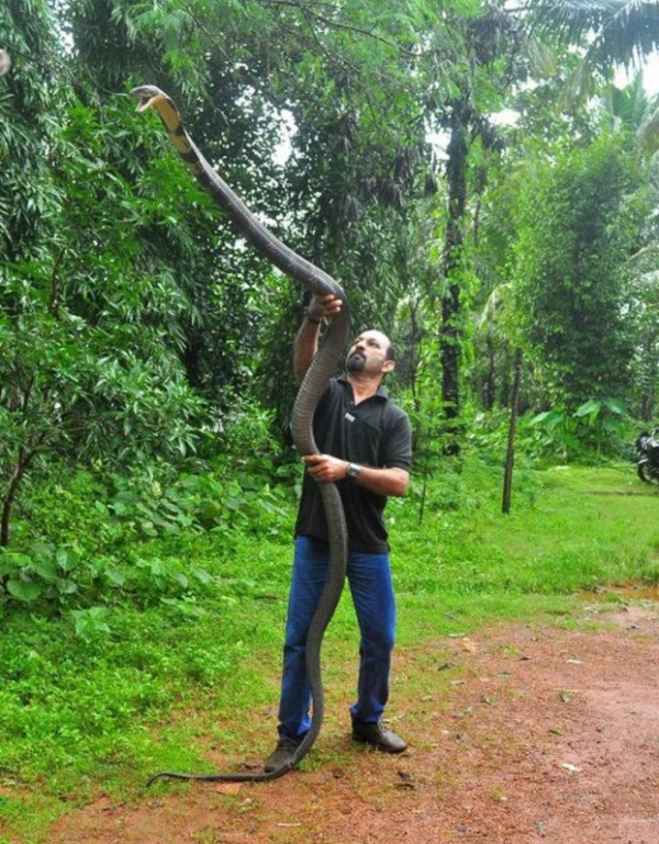   Tôi muốn được cao hơn nữa, anh bạn!!!  