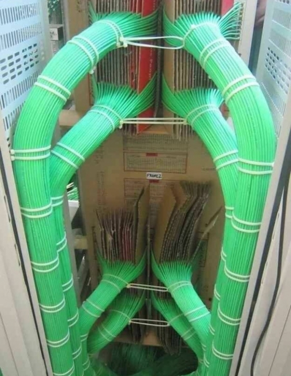   Thợ điện gắn tất cả các dây này lại với nhau phải là người cầu toàn  