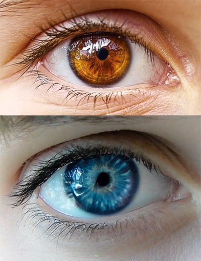 Mắt có thể đổi màu, đôi mắt màu nâu thực sự là màu xanh nhưng có sắc tố nâu. Nhà sinh học người Mỹ Gregg Homer thậm chí còn nghiên cứu và phát triển một quy trình cho phép mọi người thay đổi đôi mắt nâu của họ thành màu xanh lam.
