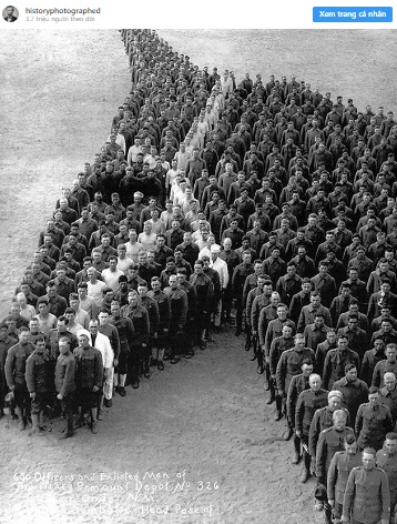   650 sĩ quan vinh danh những con vật đã chết trong Thế chiến thứ nhất  