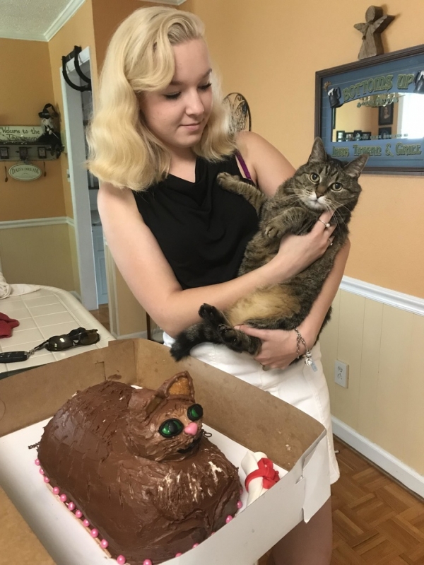 Tôi đặt một chiếc bánh kem hình con mèo vào sinh nhật của nó, kết quả thế này đây