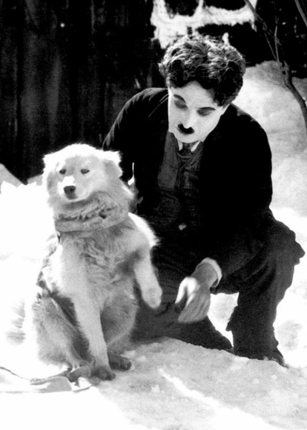   Charlie Chaplin, Cơn sốt vàng, 1925  