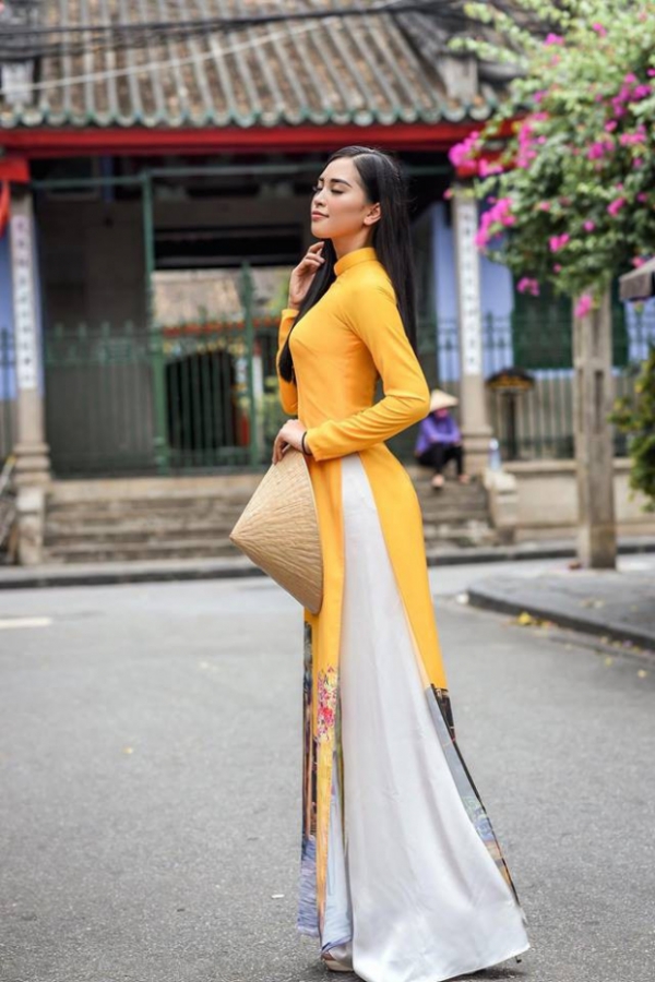 Ngắm vẻ đẹp kiêu sa của tân hoa hậu Trần Tiểu Vy trong trang phục áo dài 6