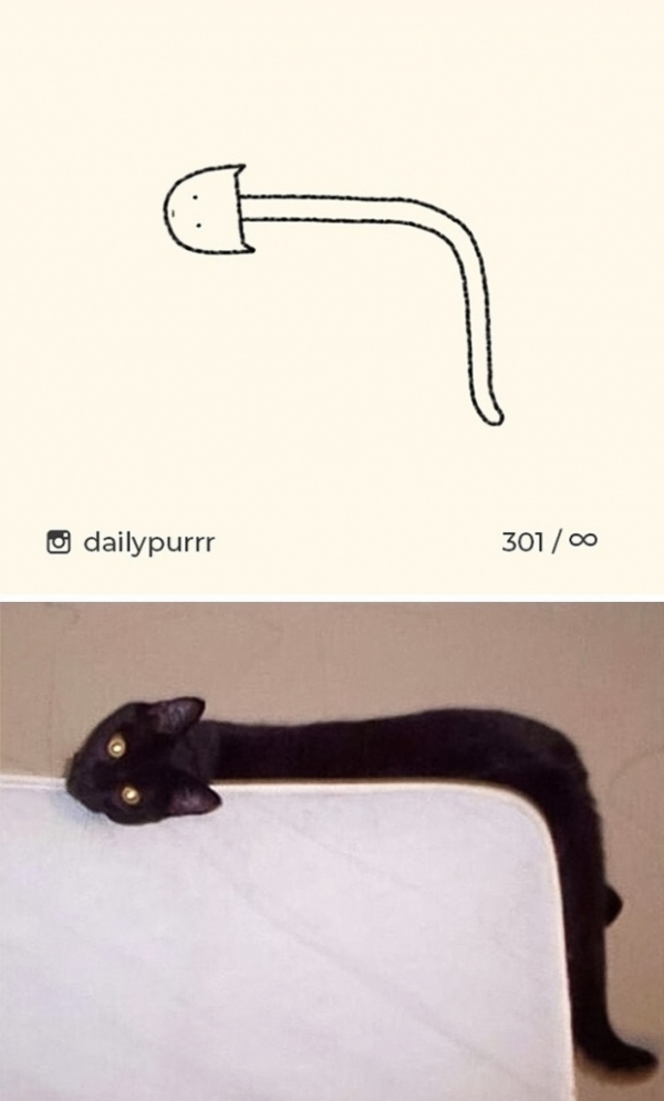Loạt tranh vẽ mèo của nghệ sĩ tối giản nhưng chính xác, IQ trên 200 mới tưởng tượng ra 5