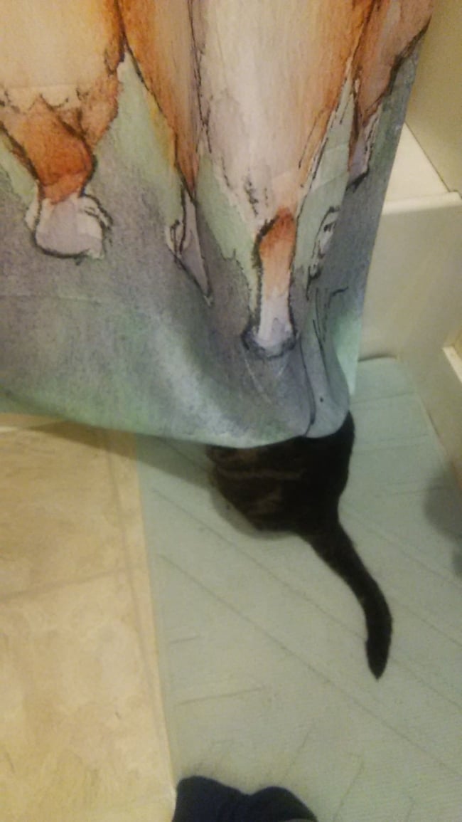 Con mèo biến thái đang xem trộm bạn gái tôi tắm