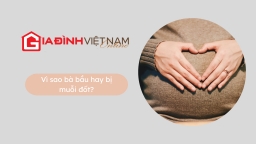 Vì sao bà bầu hay bị muỗi đốt?