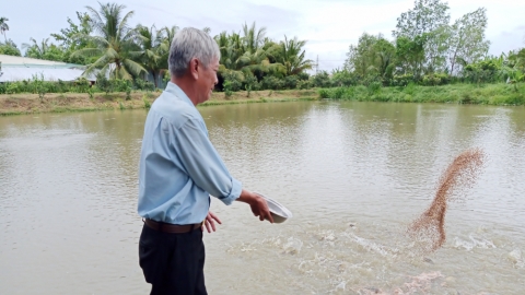 Canh tác VAC khép kín, cựu chiến binh về hưu thu nhập hàng trăm triệu