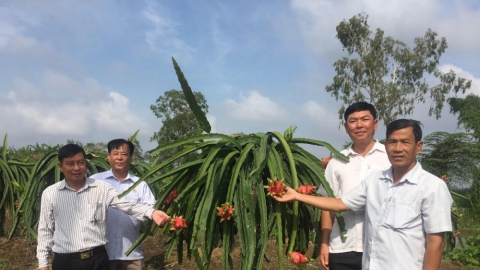 Hội Cựu chiến binh huyện Thới Lai - TP. Cần Thơ giúp nhiều hội viên vươn lên làm giàu