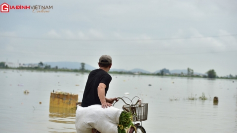 Nước mắt nơi tâm lũ Quỳnh Lưu