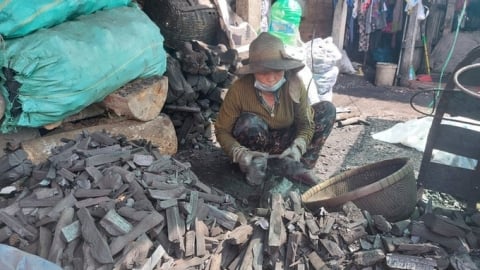 Nặng nhọc nghề hầm than của 430 hộ gia đình ở Sóc Trăng