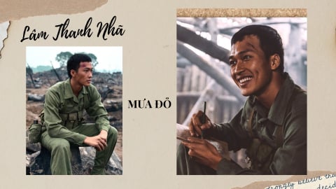 Diễn viên Lâm Thanh Nhã: 