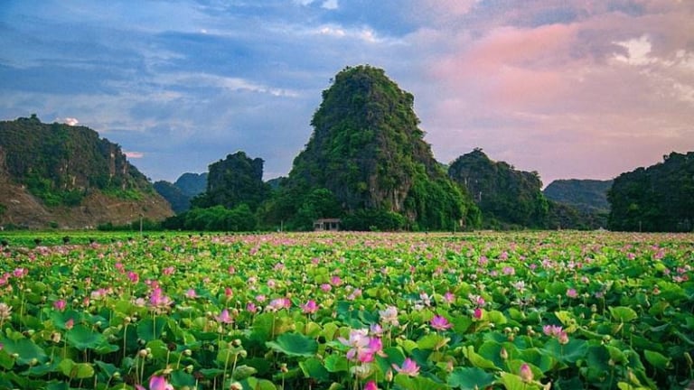 Du lịch Ninh Bình mùa sen nở với 2 triệu đồng
