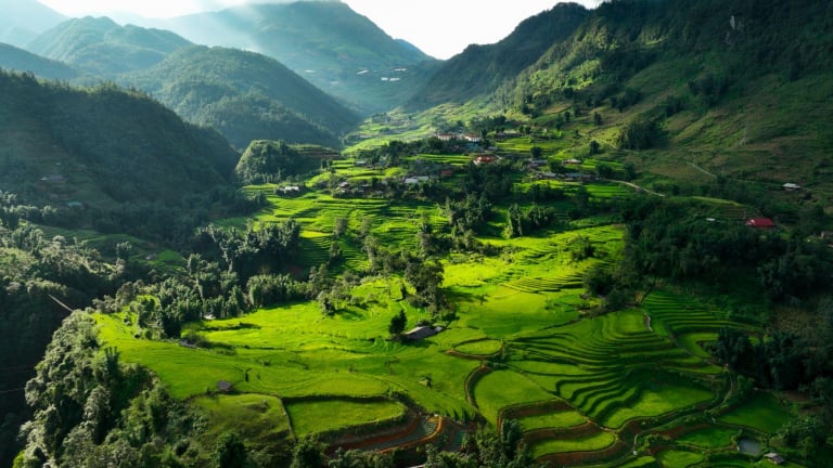 “Mục sở thị” Sa Pa mùa lúa xanh 