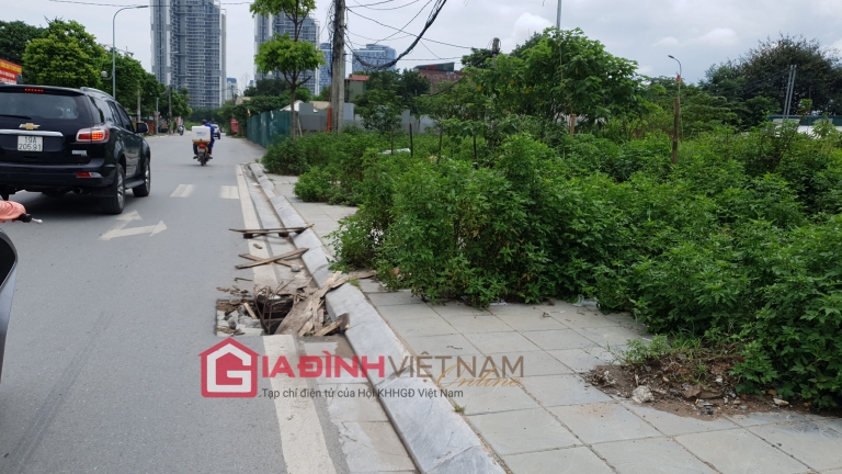 'Ma trận' cống bật nắp, cây chết khô trên đường Sa Đôi - Hà Nội: Vì đâu nên nỗi?