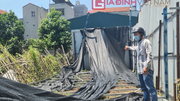 Vườn cây cảnh hàng trăm triệu đồng nghi bị kẻ gian phá hoại ngay giữa ban ngày