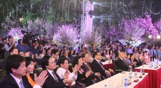 Lễ hội hoa anh đào Nhật Bản - Hà Nội 2019: Điểm hẹn hấp dẫn