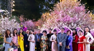 Nhiều hoạt động thúc đẩy quan hệ Việt Nam - Nhật Bản thông qua Lễ hội hoa anh đào