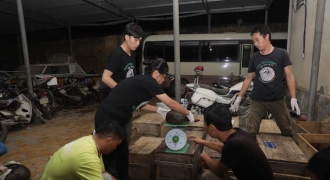 Hà Tĩnh: Bắt quả tang 2 đối tượng vận chuyển 30 cá thể tê tê từ Lào về Việt Nam