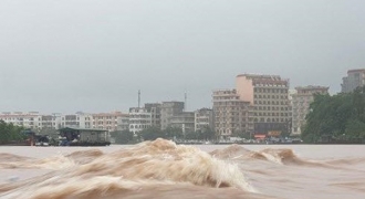 Hình ảnh thiệt hại bão số 3 ở Quảng Ninh: Đường ngập, cây đổ, nước lũ dâng cao