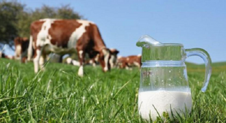 Khám phá 5 “đặc quyền” chỉ dành cho “tín đồ” sữa Organic chuẩn Hà Lan