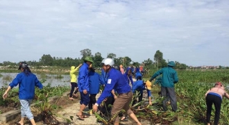 Hà Tĩnh: Gần 1000 thanh niên tình nguyện giúp dân khắc phục lũ