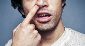 5 lý do cần bỏ ngay thói quen ngoáy mũi