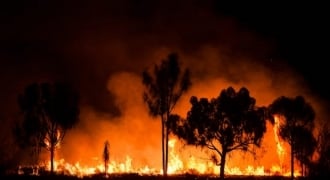 Thảm họa cháy rừng ở Úc gây thiệt hại như thế nào?