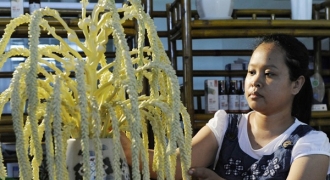 Mát xa hoa dừa, người phụ nữ Trà Vinh thu nửa tỷ mỗi tháng