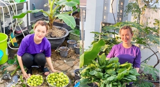 Khu vườn đủ cây trái trên sân thượng nhà cô giáo Sài Gòn