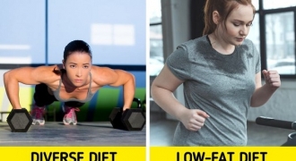 Điều gì xảy ra với cơ thể nếu ngừng ăn chất béo?