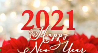 20 câu nói truyền cảm hứng chào đón năm mới 2021