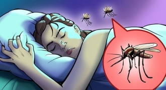 Vì sao có tiếng muỗi vo ve bên tai khi ngủ?