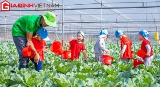 Nông dân Hà Nội trồng rau bằng... công nghệ
