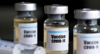 Hơn 800.000 liều vaccine Covax đầu tiên về Việt Nam
