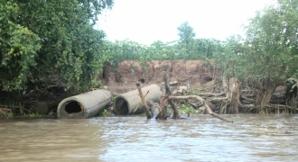 Sạt lở bờ sông nghiêm trọng tại huyện Kế Sách - Sóc Trăng