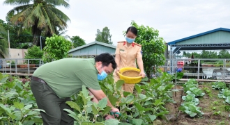 CSGT đường thủy Cần Thơ trồng rau, nuôi cá góp quỹ phụng dưỡng Mẹ Việt Nam Anh hùng