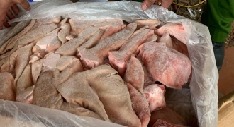 Gần 3.000kg thực phẩm không rõ nguồn gốc trong kho đông lạnh tại Hà Nội