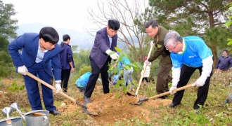 BIDV khởi động chương trình trồng 1 triệu cây xanh