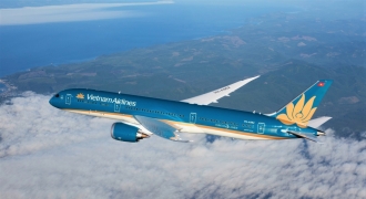 Vietnam Airlines mở bán cành đào, cây mai kèm dịch vụ vận chuyển trọn gói