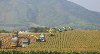 Tập đoàn TH: Mô hình sản xuất nông nghiệp công nghệ cao điển hình